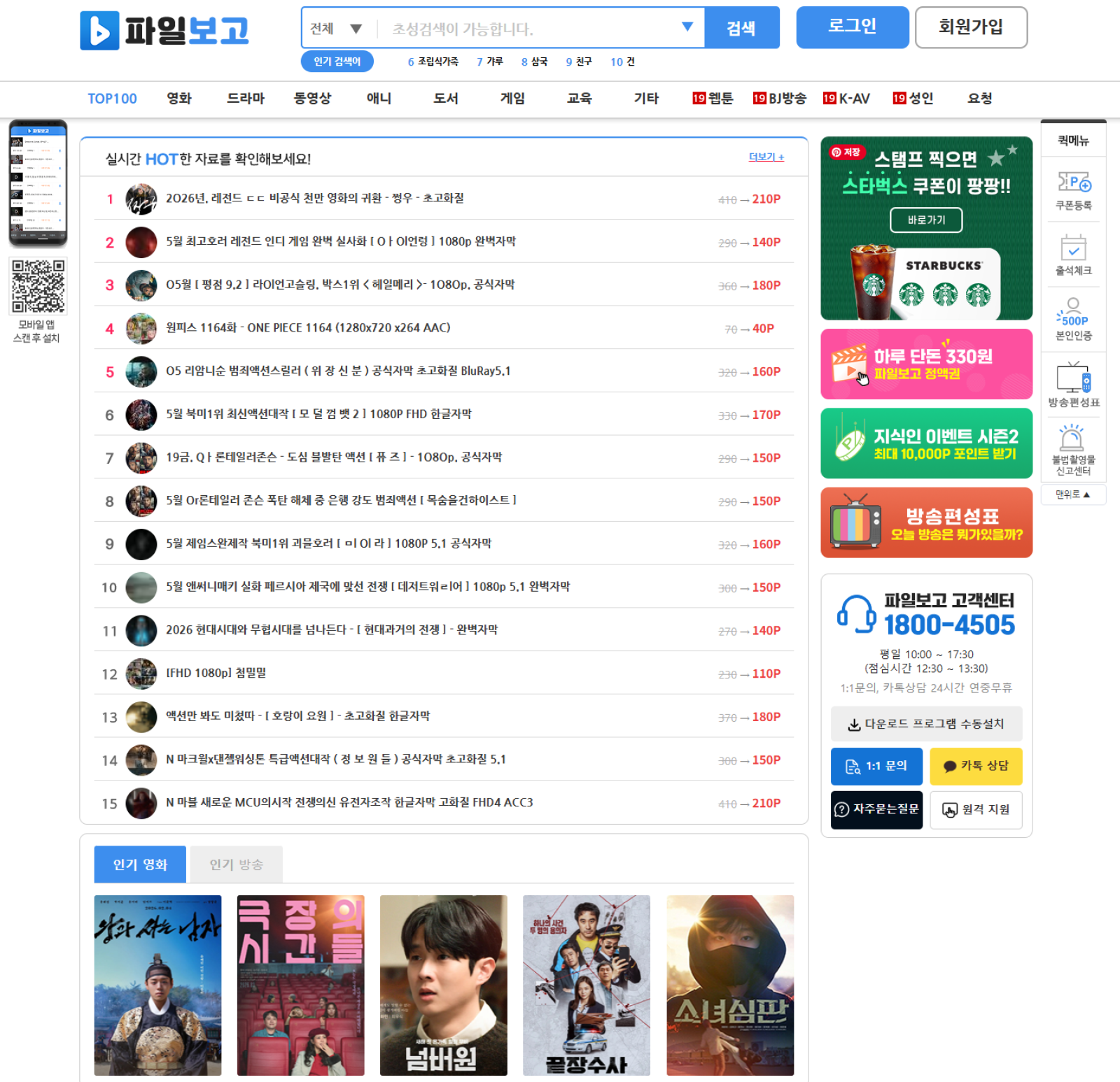 파일보고
